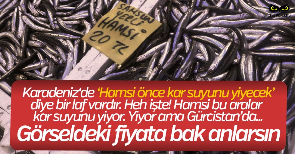 Hamsi Soguk Suya Kacti Fiyati El Yakiyor Jpg
