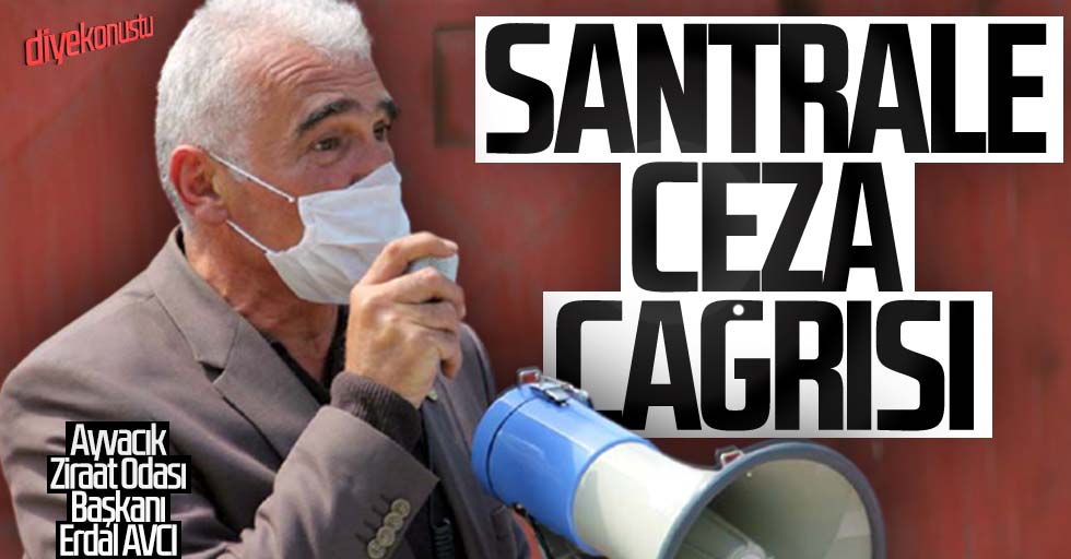 Hobi Bahcesi Ornegi Veren Erdal Avcidan Santrale Yaptirim Cagrisi Jpg