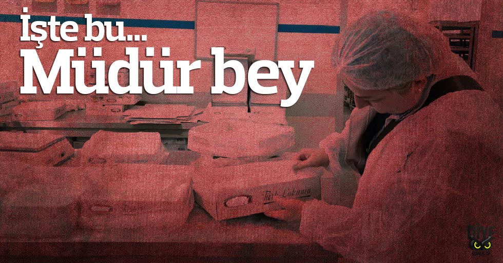 Iste Bu Mudur Bey Jpg