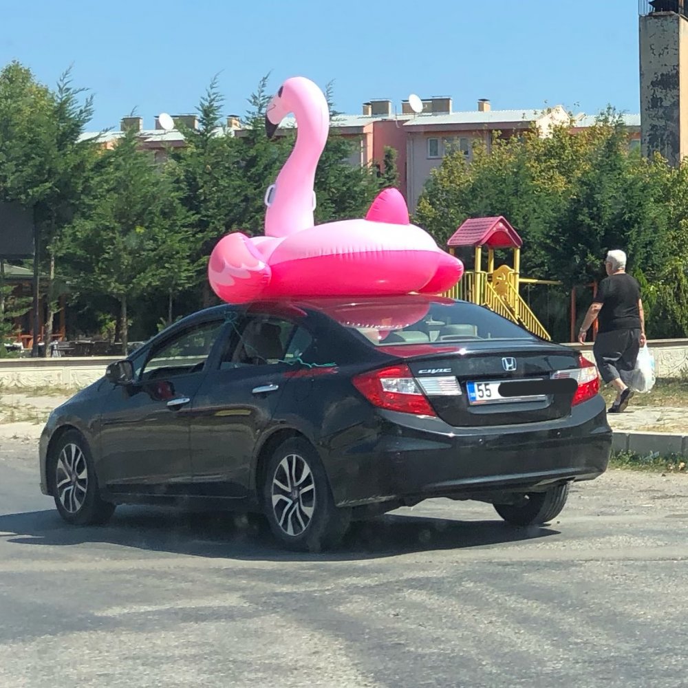 karadeniz sahil yolunda essiz goruntuler 1