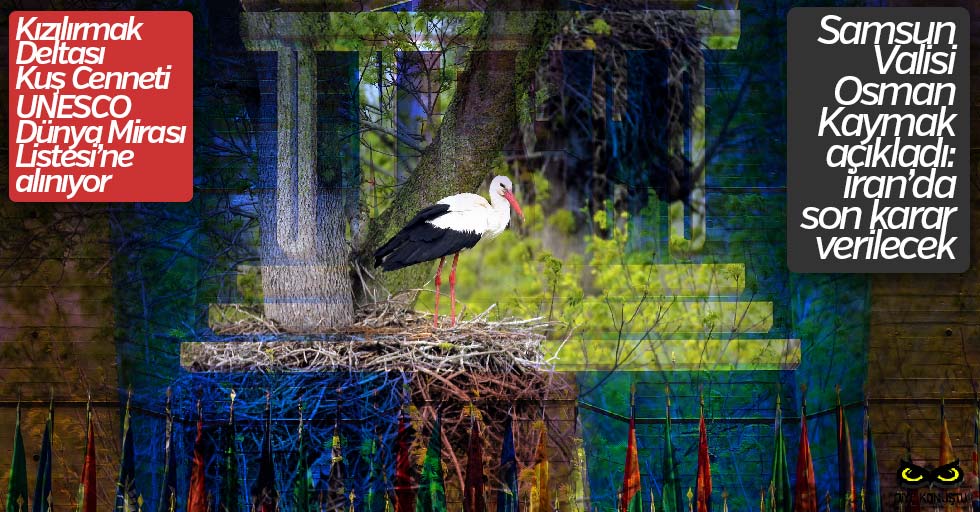 Kizilirmak Deltasi Kus Cenneti Icin Karar Veriliyor Jpg