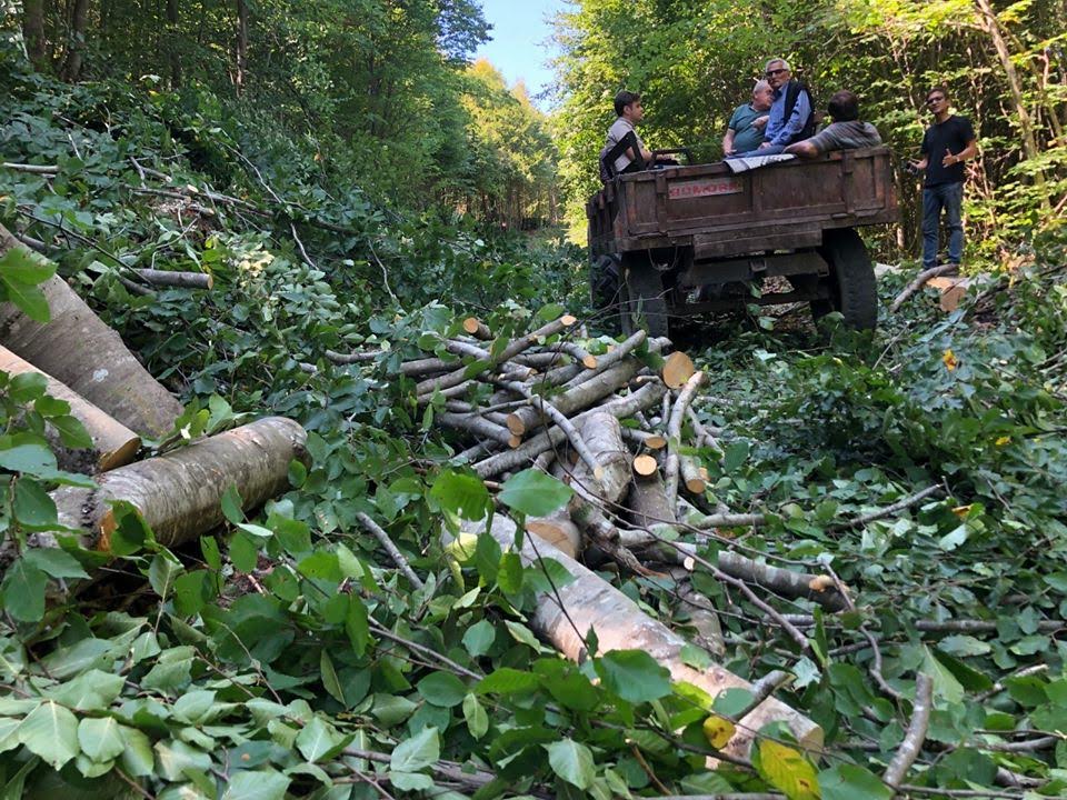 Samsun Sahin Daglarinda Altin Bulundu Jpg