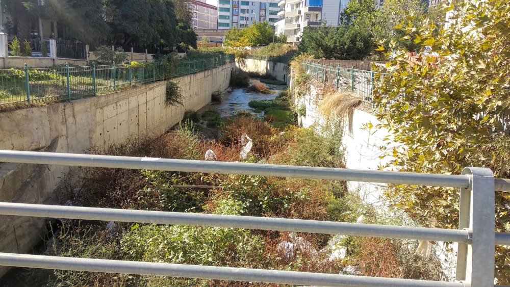 Samsunda Dere Isyani Jpg