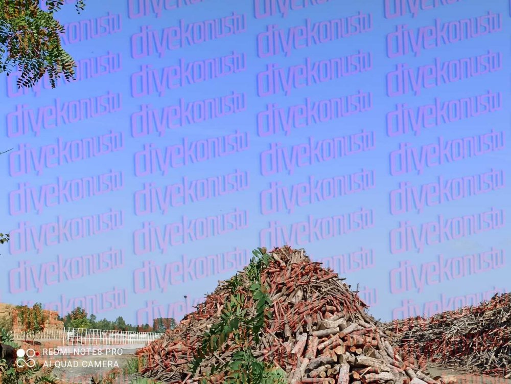 Santral Davalara Ragmen Tam Gaz Ovaya Yangin Sistemi Kurdular Jpg