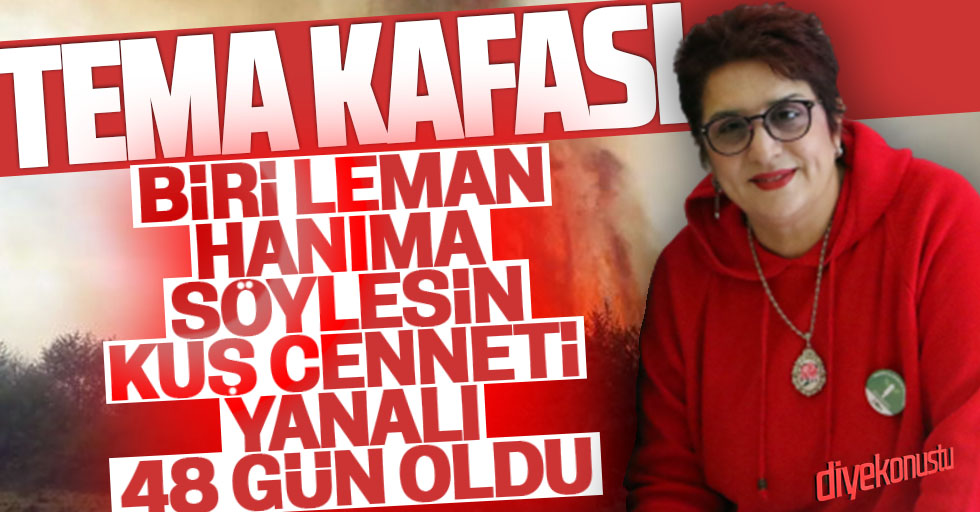 Temanin Akli Yerine Yeni Geldi Yangindan 48 Gun Sonra Kus Cenneti Aciklamasi Jpg