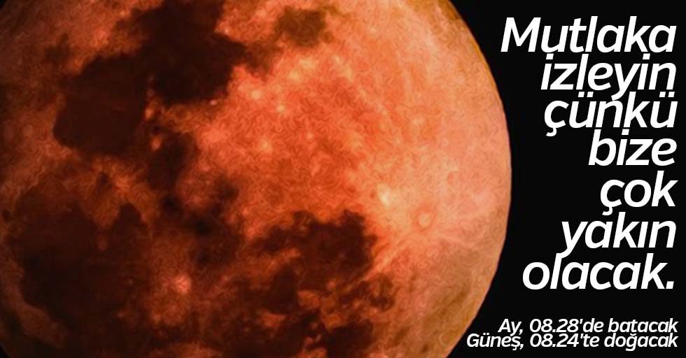 Yarin Tarihi Ana Sahit Olacagiz Jpg