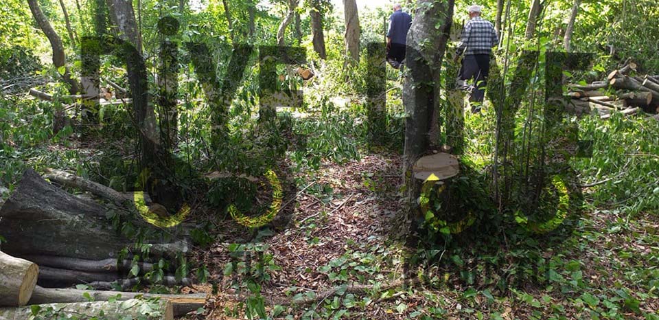 Yer Terme Kesim Degil Kiyim Jpg