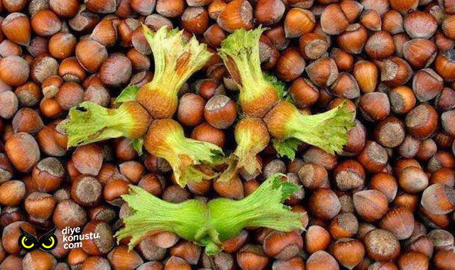 Taviloğlu: Fındık bahçelerinin gençleştirilmesi gerekiyor 1 Taviloglu Findik Bahcelerinin Genclestirilmesi Gerekiyor 4363 Jpg 2