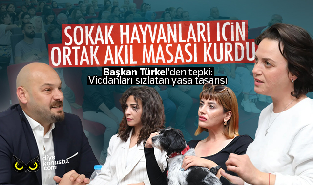 Atakum Belediyesi Sokak Hayvanlari Icin Ortak Akil Masasi Kurdu 3141 Jpg