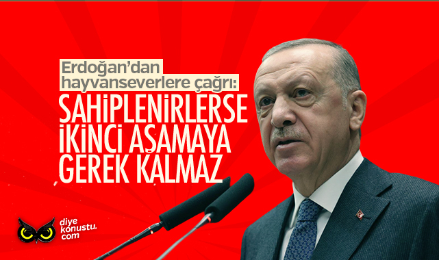 Erdogan Dan Hayvanseverlere Cagri Sahiplenirlerse Ikinci Asamaya Gerek Kalmaz 3256 Jpg