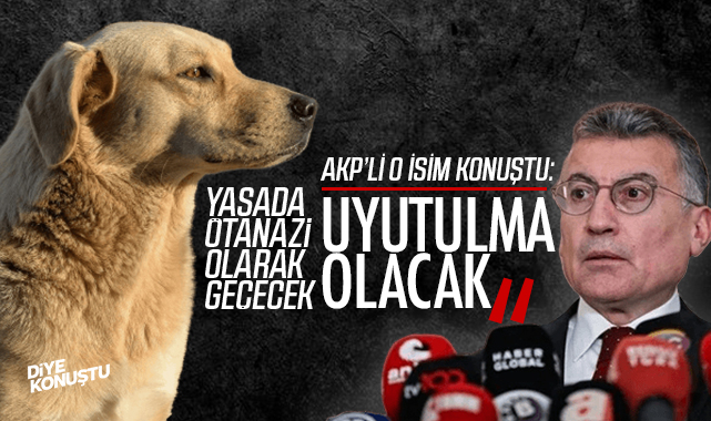 Peki kim karar verecek? AKP'li o isim konuştu: Uyutulma olacak, yasada adı 'ötenazi' diye geçecek