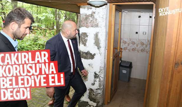 Atil Duruma Dusmustu Cakirlar Korusu Na Belediye Eli Degdi 7894 Jpg