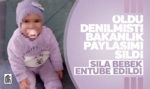 Sila Bebek Tekirdag Oldu Entube Edildi Eylul 2024