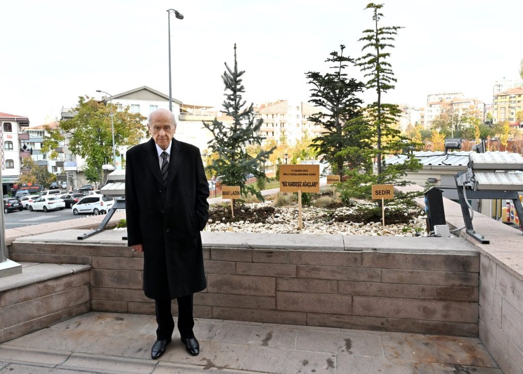Devlet Bahceli Agac