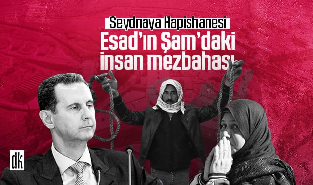 blog img