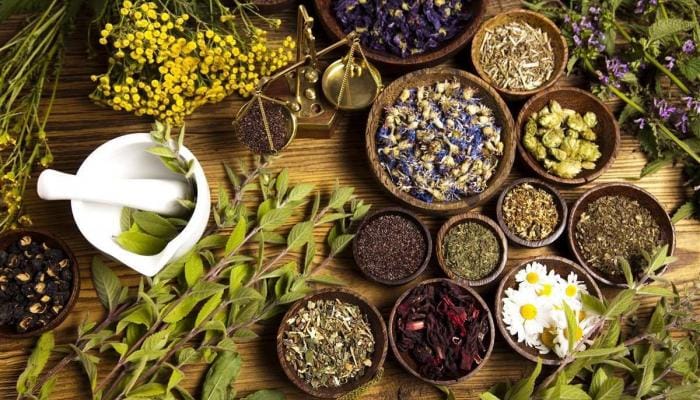 Samsun Büyükşehir’den tıbbi ve aromatik bitkiler paneli
