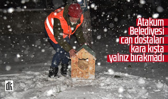 Serhat Türkel talimat verdi! Atakum Belediyesi can dostları yalnız bırakmadı
