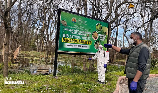 Atakum'da kokarca böcek mücadelesi sürüyor