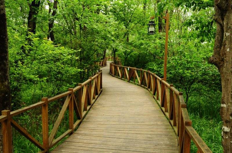 Samsun’un yükselen değeri: Turizmde yeni dönem başlıyor!