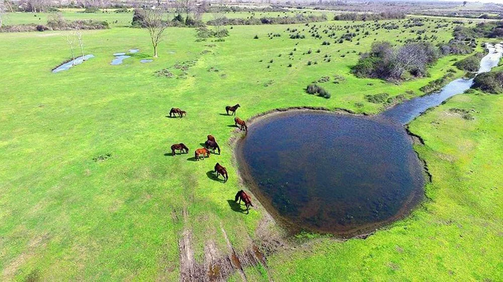 İşte Samsun'un doğal güzellikleri ve koruma altındaki alanları, görülmesi gereken yerler
