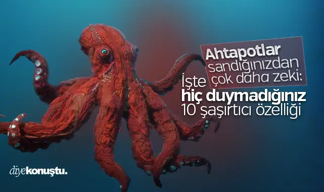 Ahtapotlar sandığınızdan çok daha zeki: İşte 10 şaşırtıcı özelliği