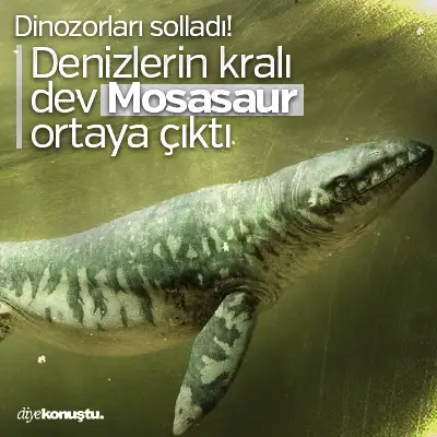 Dinozorları solladı: Denizlerin kralı dev Mosasaur ortaya çıktı