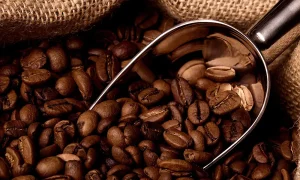 Araştırma: Kahve ölüm riskini azaltıyor