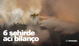 Bakan duyurdu! 6 şehir için acı bilanço