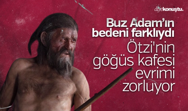 Buz Adam’ın bedeni farklıydı: Ötzi’nin göğüs kafesi evrimi zorluyor