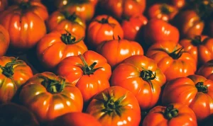 Kırmızının şifresi: Domatesin bilinmeyen faydaları