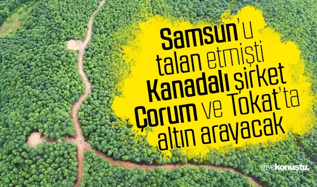Samsun’u altın bulmak için talan etmişlerdi! Şimdi sıra Çorum ve Tokat’ta…