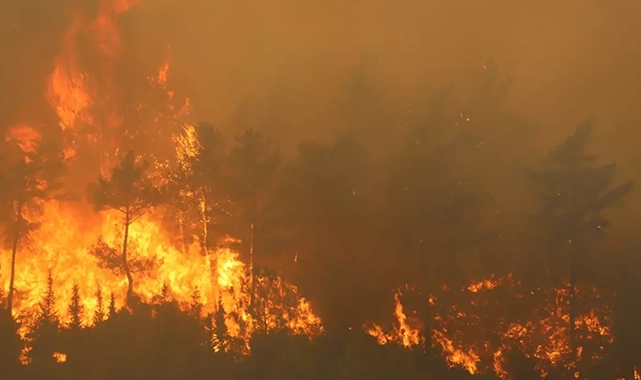 Yangınlarda son durum!