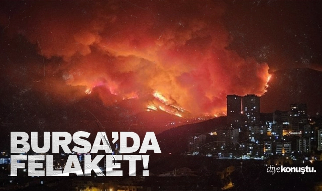 Bursa’da felaket! Her yer yanıyor…