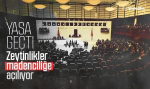 Zeytinlik alanları madenciliğe açılıyor: Yasa Geçti