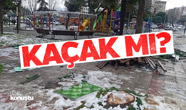 Atila Tekcan Gençlik Parkı’ndaki imar çalışmasını sordu: Kaçak mı?