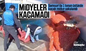 Midyeler kaçamadı! Samsun’da 1 tonun üstünde kaçak midye yakalandı