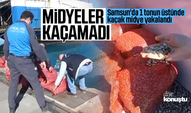 Midyeler kaçamadı! Samsun’da 1 tonun üstünde kaçak midye yakalandı