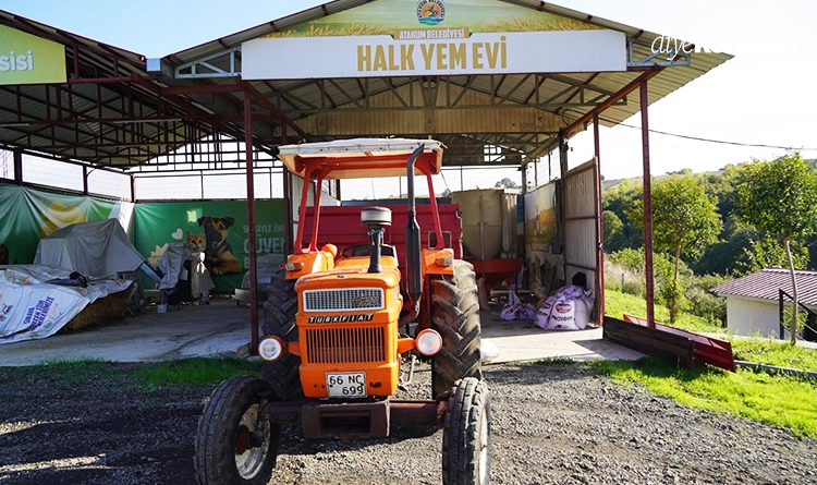 Atakum'da çiftçiye karakılçık buğdayı desteği 3 Atakumda ciftciye karakilcik bugdayi destegi 3