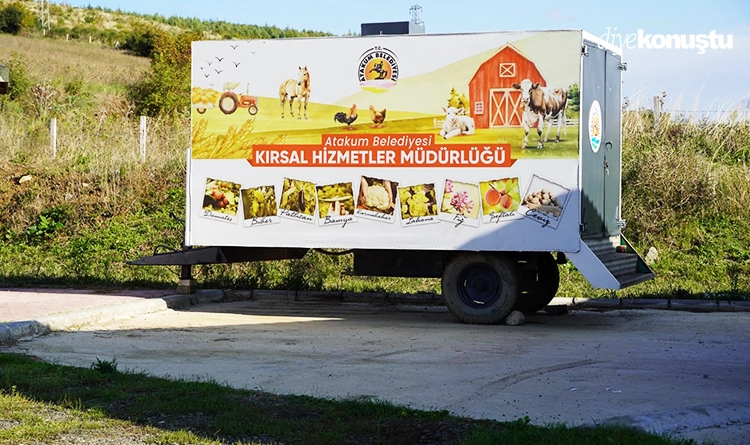 Atakum'da çiftçiye karakılçık buğdayı desteği 7 Atakumda ciftciye karakilcik bugdayi destegi 5