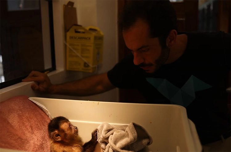 Rio’da ormanın sessiz çığlığı: Vurulan hayvanlar 3 Rioda ormanin sessiz cigligi Vurulan hayvanlar 2