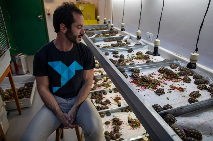 Rio’da ormanın sessiz çığlığı: Vurulan hayvanlar 9 Rioda ormanin sessiz cigligi Vurulan hayvanlar 7