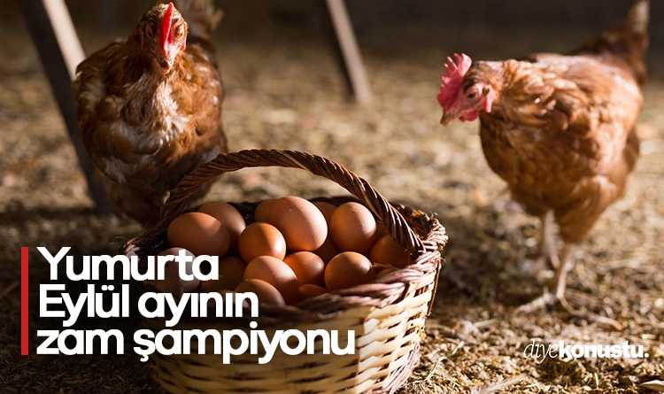 Yumurta zam rekoru kırdı 1 Yumurta zam rekoru kirdi 1