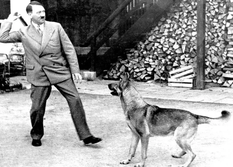 Hitler'in serveti kime kaldı? Vasiyetin bilinmeyen hikayesi... 8 hitler dog