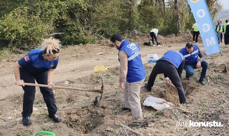Canik’te Yeşil Vatan seferberliği: Fidanlar geleceğe nefes oldu 4 Canikte Yesil Vatan seferberligi 4