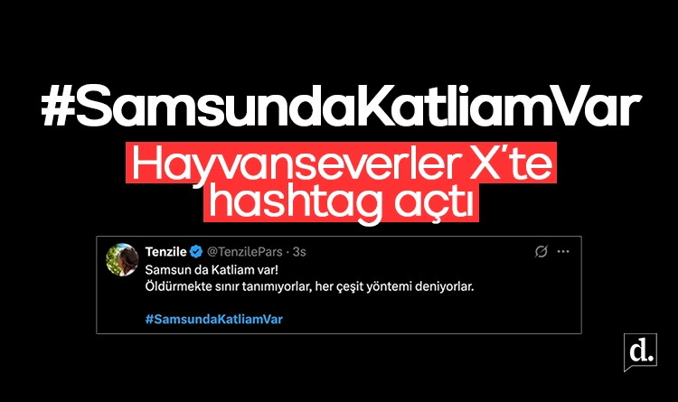 Hayvanseverler tepkili: X'te #SamsundaKatliamVar etiketi açıldı 1 Hayvanseverler tepkili Xte SamsundaKatliamVar etiketi acildi 1