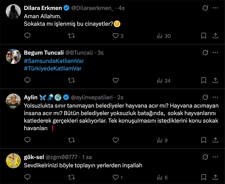 Hayvanseverler tepkili: X'te #SamsundaKatliamVar etiketi açıldı 7 Hayvanseverler tepkili Xte SamsundaKatliamVar etiketi acildi 2
