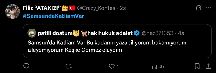 Hayvanseverler tepkili: X'te #SamsundaKatliamVar etiketi açıldı 6 Hayvanseverler tepkili Xte SamsundaKatliamVar etiketi acildi 3