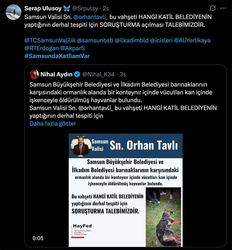 Hayvanseverler tepkili: X'te #SamsundaKatliamVar etiketi açıldı 5 Hayvanseverler tepkili Xte SamsundaKatliamVar etiketi acildi 4