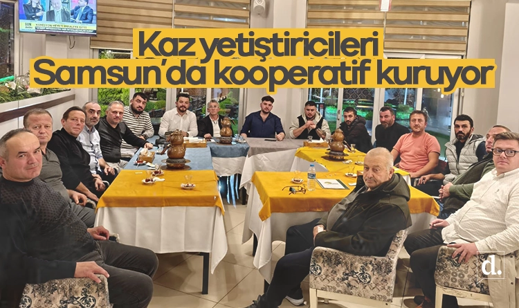 Samsunda kaz yetistiricileri kooperatif kuruyor