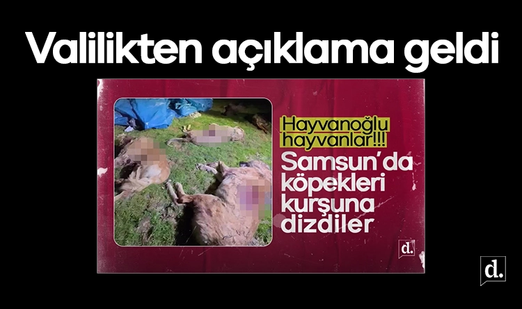Samsunda kopekleri kursuna dizdiler Valilikten aciklama 1